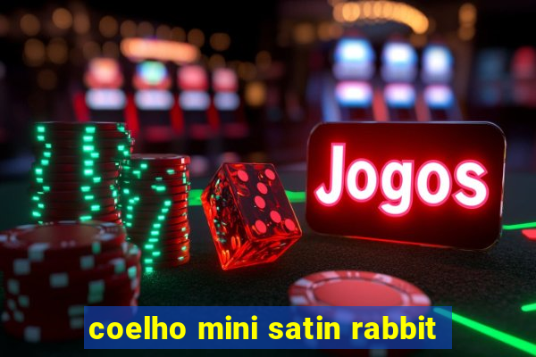 coelho mini satin rabbit